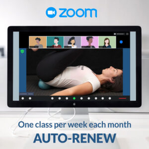 AUTO-RENEW Classes - 1 Class per week
