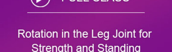 Wednesday Class – Rotation in the Leg Joint for Strength and Standing
